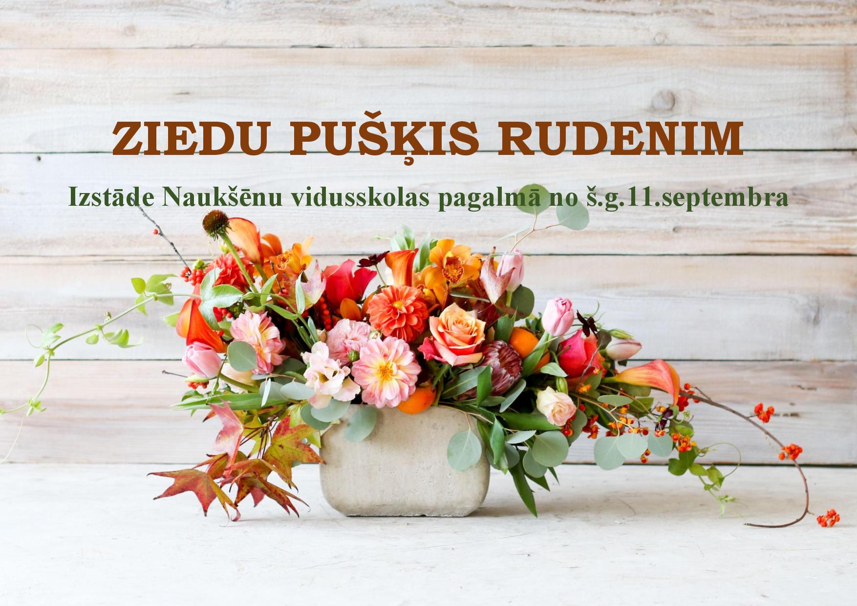 ZIEDU PUŠĶIS RUDENIM page 001